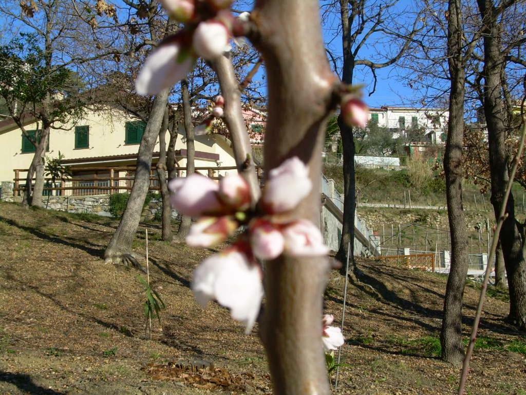 Apartmán Ariabuona Moneglia Exteriér fotografie