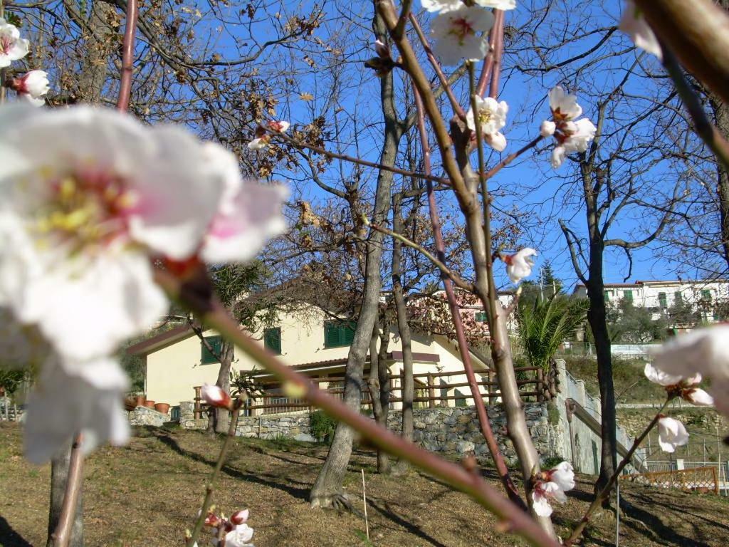 Apartmán Ariabuona Moneglia Exteriér fotografie